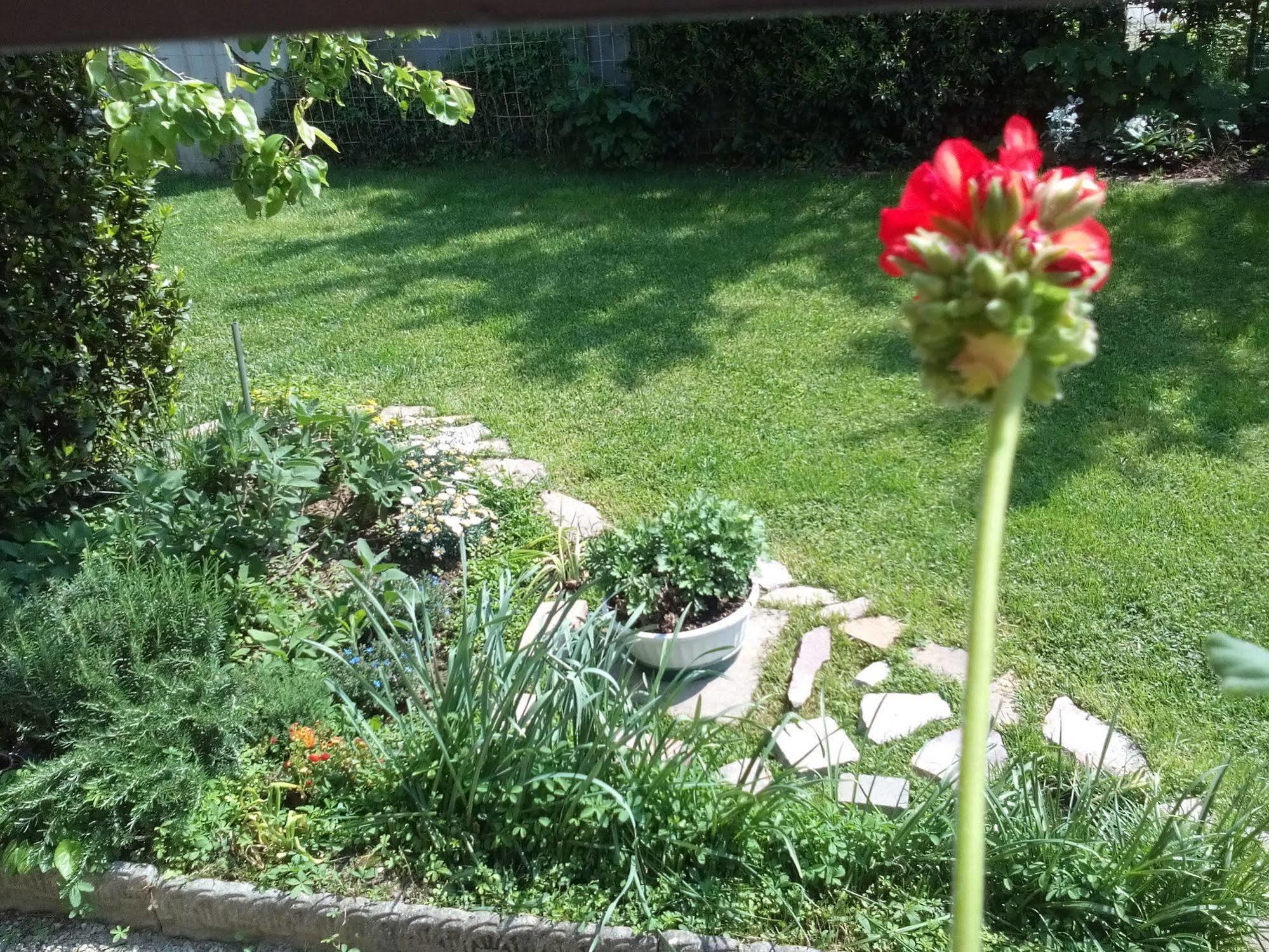 Bed and Breakfast Casa Emanuela Пьяццола-суль-Брента Экстерьер фото